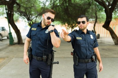 Policista